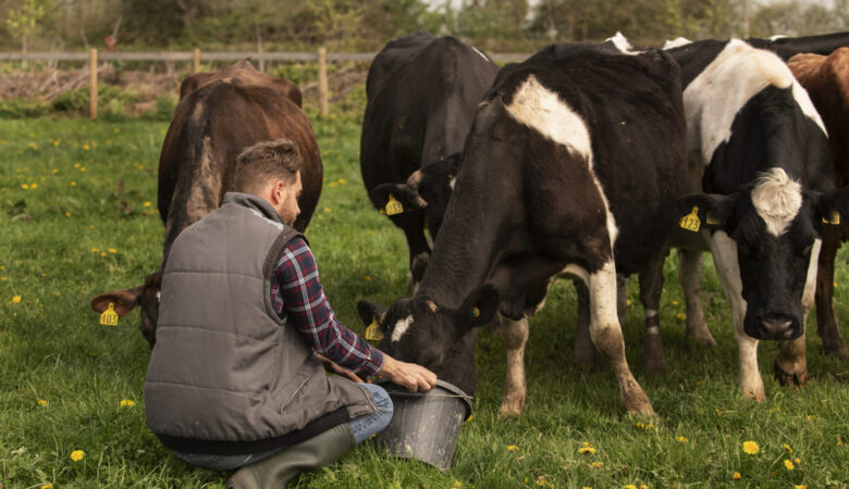 La ADL de Suances oferta un curso para obtener el carnet oficial de Bienestar Animal en el Transporte