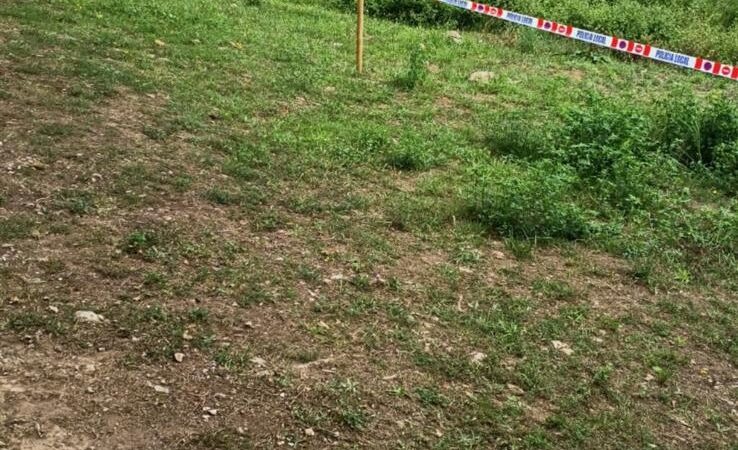 El Ayuntamiento de Suances adopta medidas ante la aparición de aves muertas en la ría de San Martín